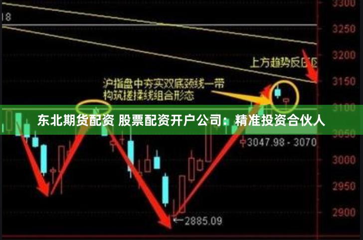 东北期货配资 股票配资开户公司：精准投资合伙人