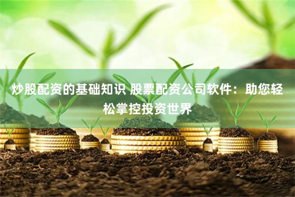 炒股配资的基础知识 股票配资公司软件：助您轻松掌控投资世界