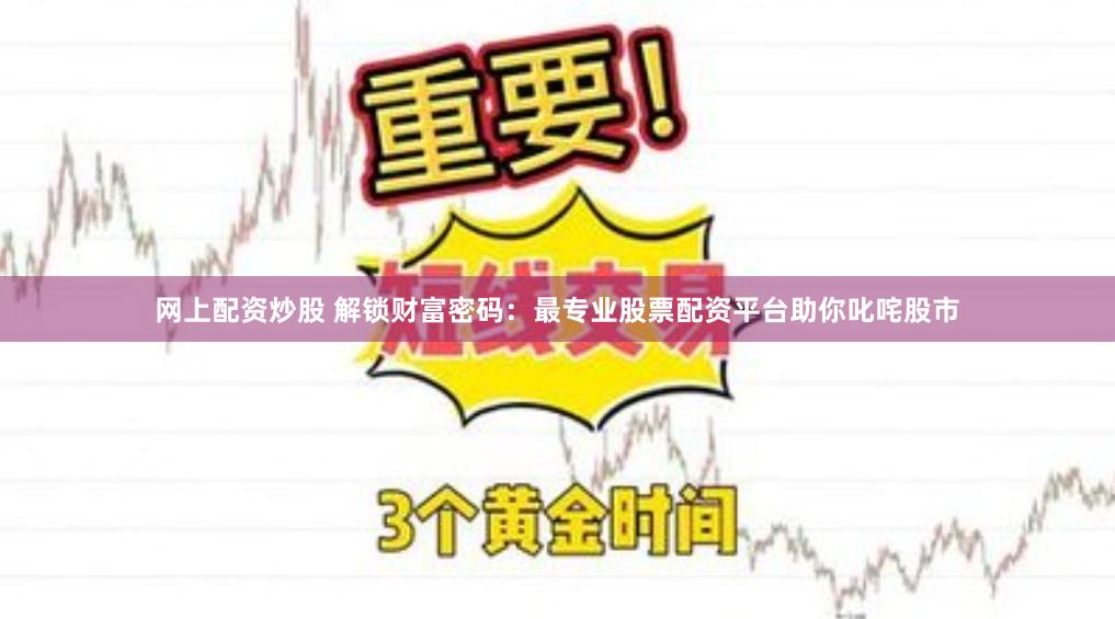 网上配资炒股 解锁财富密码：最专业股票配资平台助你叱咤股市